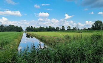 Polder landscapes in the Netherlands, Holland bike tour. Suzanne Mulder@Unsplash