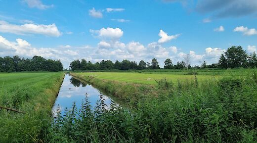 Polder landscapes in the Netherlands, Holland bike tour. Suzanne Mulder@Unsplash