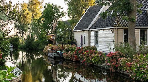 Discover the natural beauty of the Netherlands
