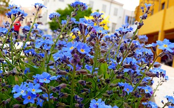 Poreč, Istria, Croatia. Kevin Veau@Flickr