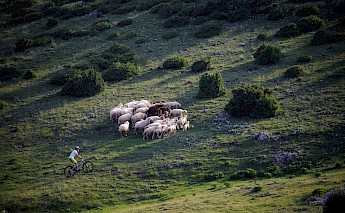 Rovinj, Istria, Croatia.