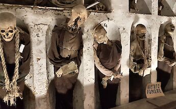 Skeletons in the Capuchin Catacombs, Palermo, Sicily, Italy. Flickr: Rolf Dietrich Brecher