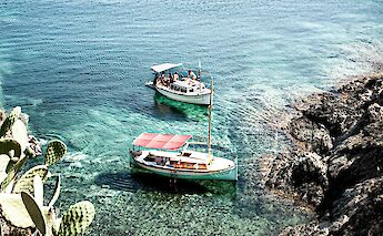 Cacti and boats in Cadaqués, Spain. Unsplash:Ferran Feixas