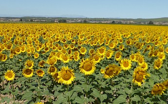 Great Pyrenees, Costa Brava & Catalonia E-Bike Tour in Spain
