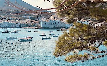 Viewing Cadaqués through trees, Spain. Unsplash:Marc de Jaime
