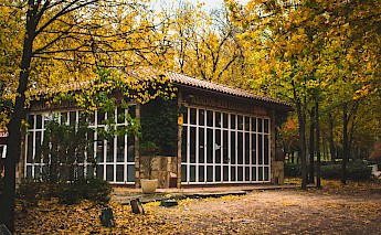 Casa de Campo, Madrid's largest public park. Unsplash:Illan Riestra Nava