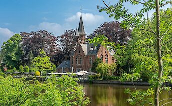 Beautiful greenery around the river in Bruges, Belgium. Unsplash@R Gray
