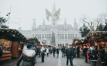 Christmas Market in front of the Vienna Rathaus, Vienna, Austria. Unsplash: Alisa Anton
