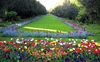 Vivid colors of Cismigiu Gardens, Bucharest. Gabriel@Flickr