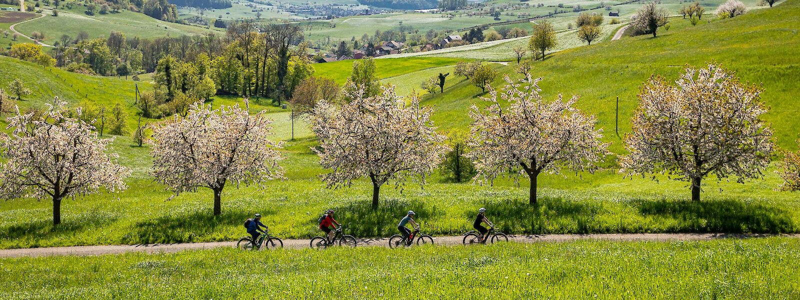 Bike & Hotel: See the world on two wheels tours