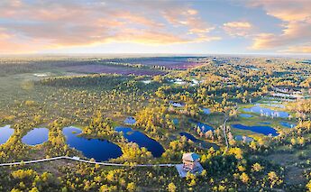 View from the sky, Viru Bog, Estonia. Stefan Hiienurm@Unsplas