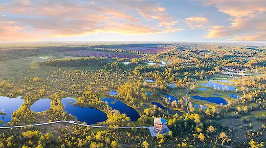 View from the sky, Viru Bog, Estonia. Stefan Hiienurm@Unsplas