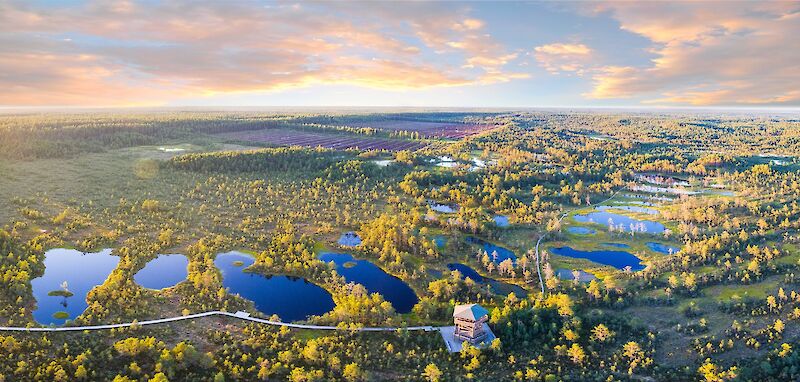 View from the sky, Viru Bog, Estonia. Stefan Hiienurm@Unsplas