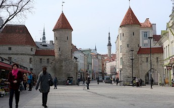 Lehmpforte, Tallinn. Roman Wimmers@Unsplash