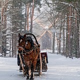 Cycle through a winter wonderland with views of ports, palaces and picture-perfect Old Town