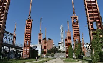 Dora Park, Turin, Italy. Gianluca Fagotto@Unsplash