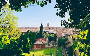 View of Verona's rooftops through the foliage, Italy. Jurre Houtkamp@Unsplash
