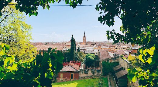 View of Verona's rooftops through the foliage, Italy. Jurre Houtkamp@Unsplash