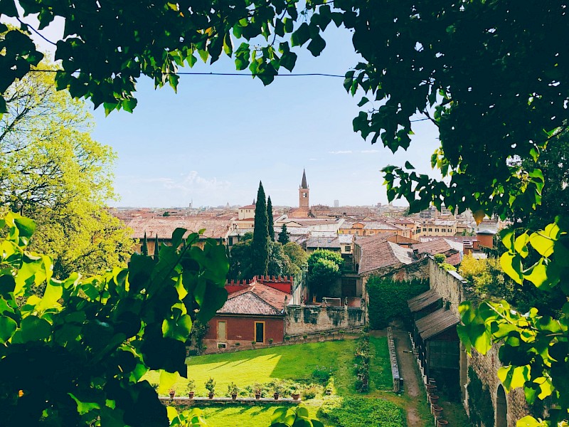 View of Verona's rooftops through the foliage, Italy. Jurre Houtkamp@Unsplash