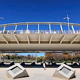 La Pieneteta, Puente de la Exposicion, designe by Santiago Calatrava, Valencia. Antonio Sessa@Unsplash