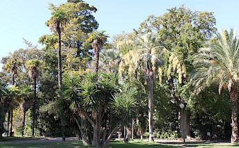 Park Borely, Marseille. Georges Seguin (Okki)@Wikimedia Commons