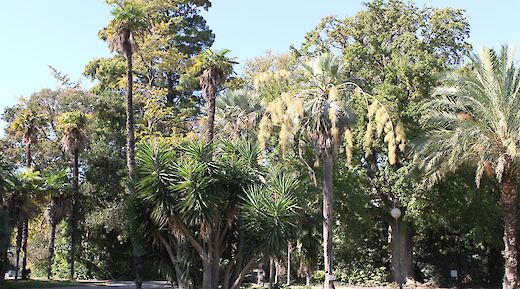 Park Borely, Marseille. Georges Seguin (Okki)@Wikimedia Commons