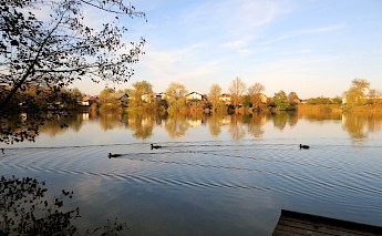 Koseze Pond, Ljubljana. Kasius Klej@Wikimedia Commons