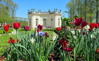 Part of the gardens of Versailles in France. Daniela Paola Alchapar@Unsplash
