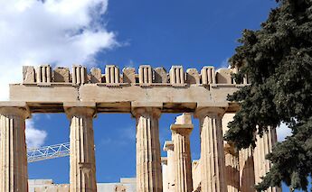 Trees and pillars, Athens, Greece. Anna Delliou@Unsplash