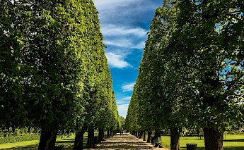 King's Garden, Copenhagen, Denmark. Carlo Pentimalli@Unsplash