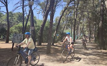 Cycling through Marjan Park forest, Split.