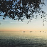 Serene sea view from one of the Split's pebble beaches. Rina Cheung@Unsplash