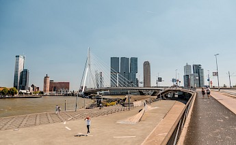 Erasmusbrug, Erasmus Bridge in Rotterdam. Mike van den Bos@Unsplash
