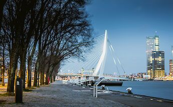 Erasmus Bridge, Rotterdam, The Netherlands. Unsplash: Jeff van Roosmalen