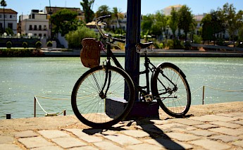 Seville on bike. Arslan Ahmed@Unsplash