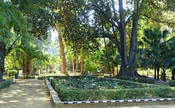 María Luisa Park, Seville. Daderot@Wikimedia Coomons