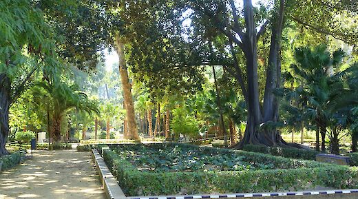 María Luisa Park, Seville. Daderot@Wikimedia Coomons