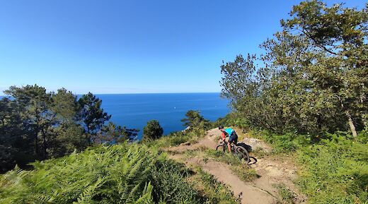 Bike tour across the mountains overlooking San Sebastian.