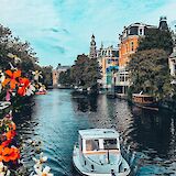 Canal boat, captured through flowers, Amsterdam, Holland. Unsplash:Thais Cordeiro