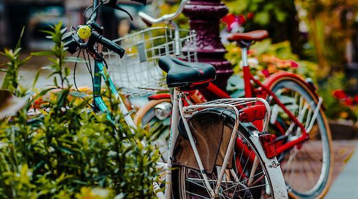 Close-up of parked bicycles among greenery in Amsterdam.