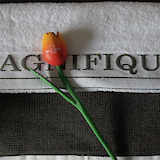 A close-up of a white towel with the word "Magnifique" printed on it, adorned with a small red and yellow tulip ornament.