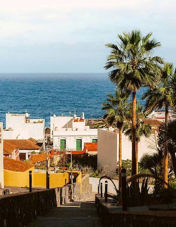 Palm trees, Barcelona, Spain. Gabrielle Maurer@Unsplash