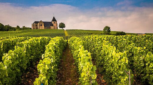 Champagne, France. Sue Winston@Unsplash