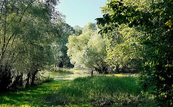 Champagne, France. Niklas Weiss@Unsplash