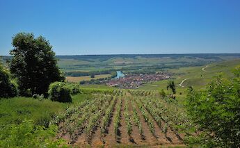 Épernay in the Champagne region of France. Random_fotos@Flickr