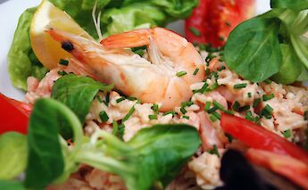 Epernay, France. Pug Girl@Flickr