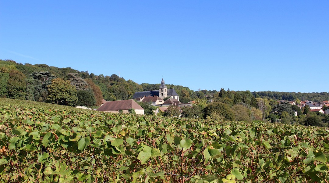 Hautvillers, Champagne, France. ADT Marne@Wikimedia Commons