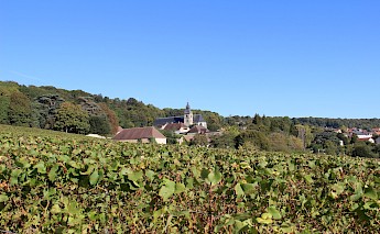 Hautvillers, Champagne, France. ADT Marne@CC