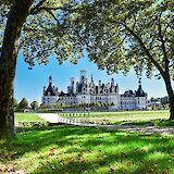 Chambord Castle through two trees, France. AXP Photography@Unsplash