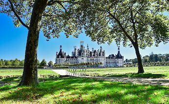 Chambord Castle through two trees, France. AXP Photography@Unsplash